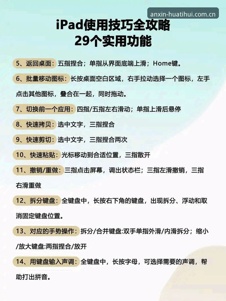 5个实用技巧教你掌握华体会APP怎么用推荐，从入门到精通全解析